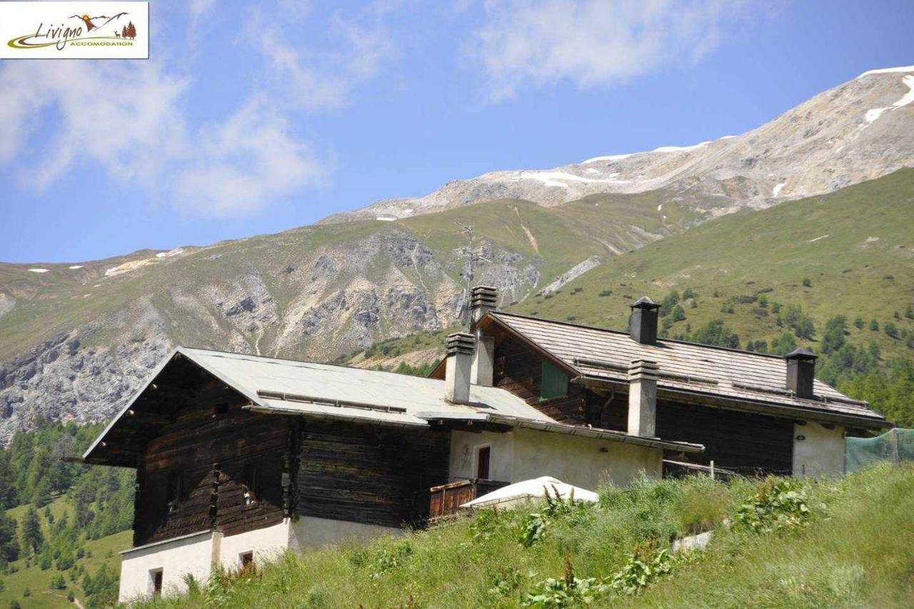 Appartamenti Green By Livigno Accomodation Exterior foto