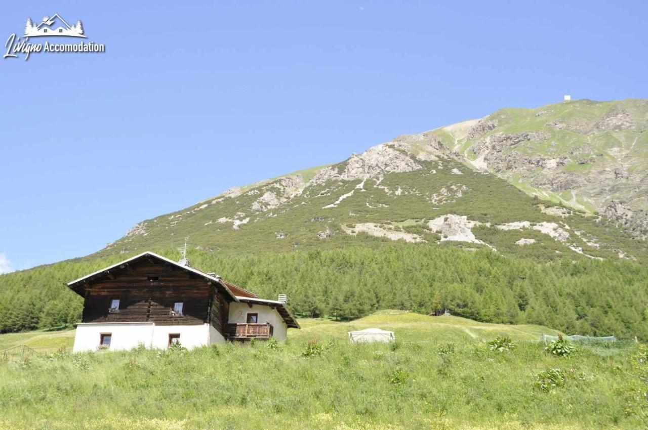 Appartamenti Green By Livigno Accomodation Exterior foto