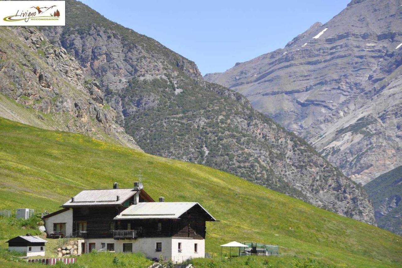 Appartamenti Green By Livigno Accomodation Exterior foto